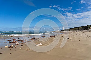 Ocean view landscape with sandy beach and lighthouse in the distance