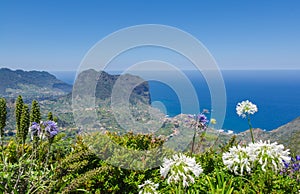 Ocean view from the Levada Ribeira Frio-Portela foreground flowers photo