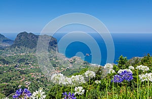 Ocean view from the Levada Ribeira Frio-Portela foreground hydrangea flowers photo