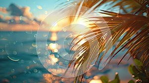 Ocean View Through Palm Trees