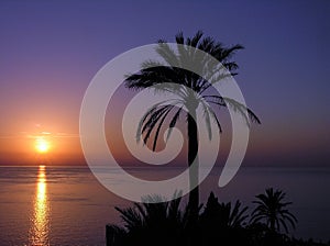 Ocean view at sunset from Sierra de Tramuntana, near Valldemossa, Mallorca