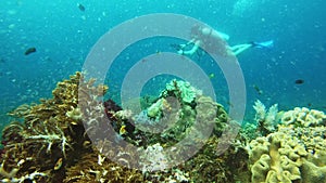 Ocean, water and diver with camera in coral reef or deep blue sea of Raja Ampat, Indonesia in underwater wildlife