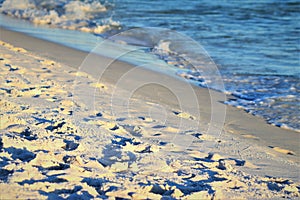 Ocean water, shore of a sandy beach