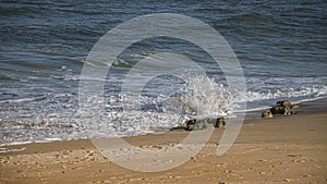 Ocean Wave Bursting on Coquina Rock