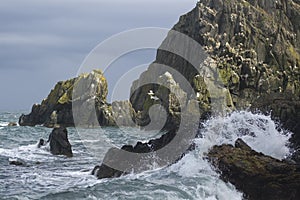 Ocean wave and cliffs