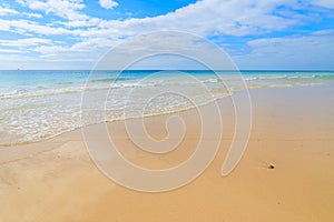 Ocean wave on tropical sandy Jandia beach, Morro Jable, Fuerteventura, Canary Islands, Spain