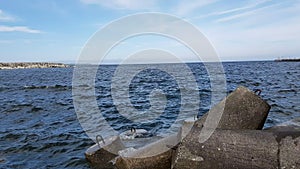 Ocean waves beat against the stone breakwaters in the port. View of the ocean and stone breakwaters on the shore.