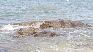 Ocean waves crashing on rock reef, beautiful natural scene of tropical summer sea.