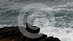 Ocean Waves And Lava Rock Shore Depoe Bay Oregon Fast Motion