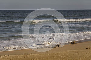 Ocean Waves Spreading Seafoam over Coquina Rocks