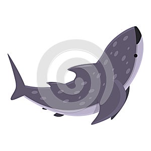 Ocean whale shark icon cartoon vector. Fish sea