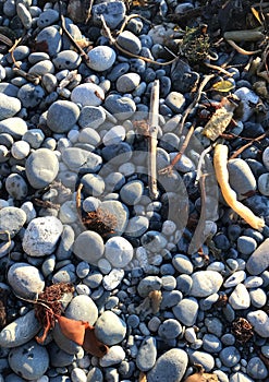 Ocean worn stones of French Beach, BC