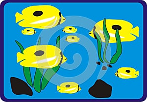 Ocean Yellow Fish Family