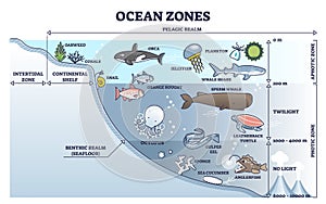 Ocean zones division with depth or light penetration in water outline diagram