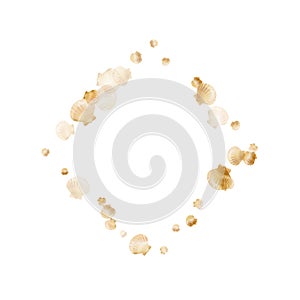 Oceanic scallop bivalve pearl shells gold mollusks