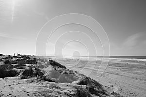 Oceano Dunes landscape photo