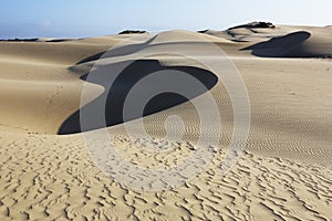 Oceano Dunes Natural Preserve, California