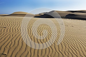 Oceano Dunes Natural Preserve, California