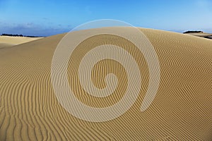 Oceano Dunes Natural Preserve, California photo