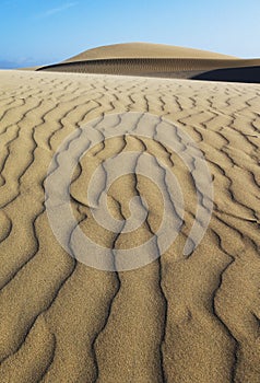 Oceano Dunes Natural Preserve, California photo