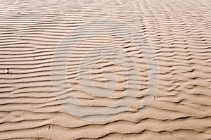 Oceano Dunes State Vehicular Recreation Area photo