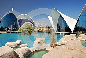 The Oceanografic in Valencia