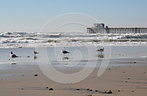 Oceanside Pier, Ca photo