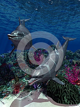 Oceanworld 1