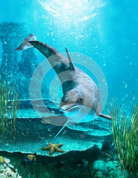 Oceanworld 3