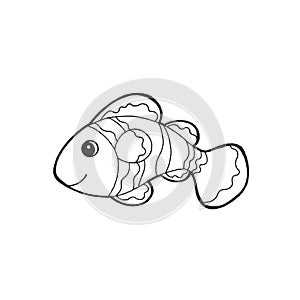 Ocellaris clownfish animal fish nature art hand drawing illustration design sketch doodle black white cartoon