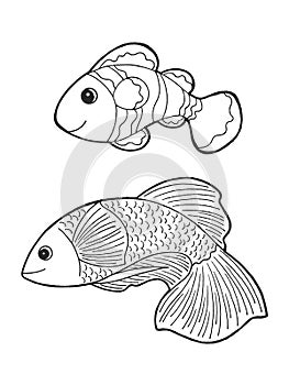 Ocellaris clownfish fighting fish betta animal nature art hand drawing illustration design sketch doodle black white cartoon