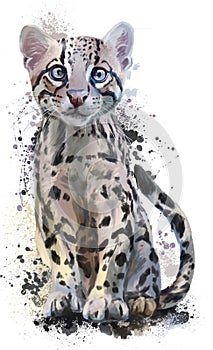 Ocelot