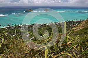 Ocen view with cacti from Lanikai, Oahu, Hawaii