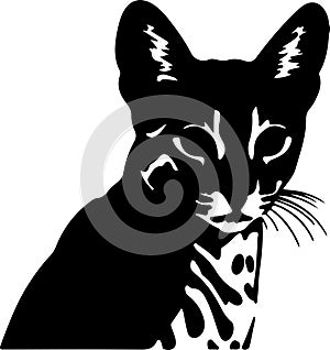 Ocicat Cat Black Silhouette Generative Ai
