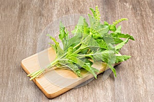 Ocimum tenuiflorum,Holy basil,tulsi or tulasi on wood background