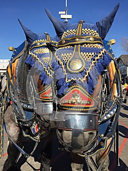 Ocktoberfest Munich Beer horses