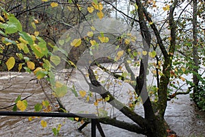 The Oconaluftee River in Cherokee, North Carolina in flooding conditions.