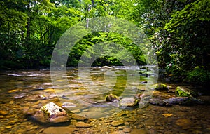 The Oconaluftee River, at Great Smoky Mountains National Park, N