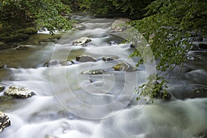 Oconaluftee River, Smoky Mountains photo