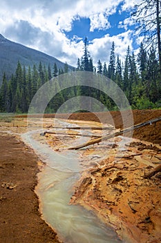 The `Ocre Beds` in Kootenay National Park, British Columbia, Canada