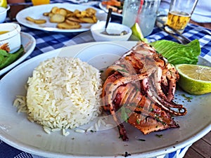 Octapus with rice at greek tavern