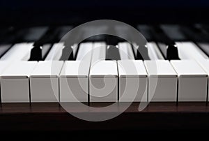 An octave of piano key photo