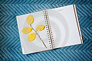 October 2022 plan page in open notebook organizer calendar with dry autumn leaves. Autumn planning and schedule for
