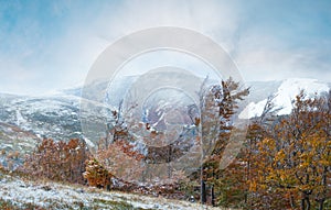 October Carpathian mountain Borghava plateau panorama with first winter snow and autumn foliage