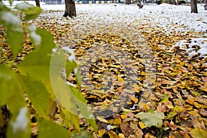 October city of Park forest with first winter snow