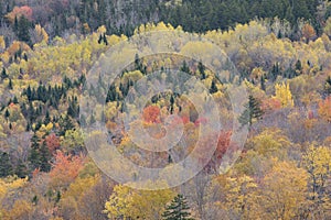 October color from the summit of North Sugarloaf, White Mountains, New Hampshire