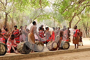 October 01 2022 - Cultural Village Matsamo, Swaziland, Eswatini: bare feet of Swazi dancers with handmade rattles during