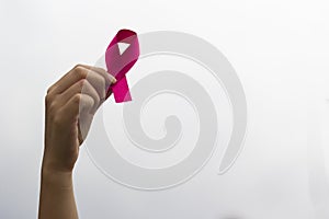 Breast cancer awareness. Woman hand holding pink ribbon