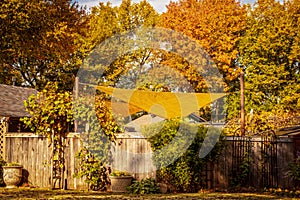 October golden yellow shade sail over enclosed garden or party area with arched vine covered entry with potted flowers and autumn