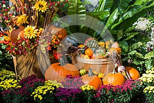 An October Halloween scene showing pumpkins and gourds